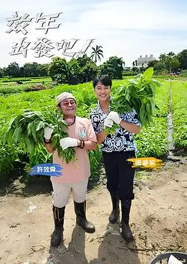 黑色四叶草 新剧场版 制作决定